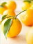 How to Grow an Orange Tree