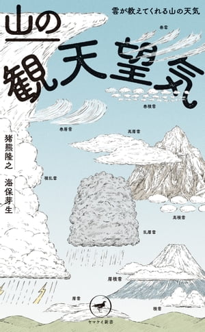 ヤマケイ新書 山の観天望気 〜雲が教えてくれる山の天気〜