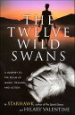 The Twelve Wild Swans A Journey to the Realm of 