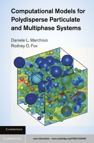 Computational Models for Polydisperse Particulate and Multiphase Systems