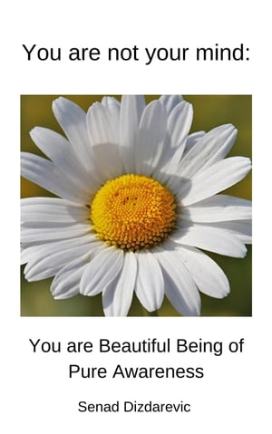 You Are Not Your Mind: You Are Beautiful Being Of Pure Awareness