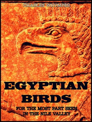 Egyptian Birds