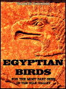 ŷKoboŻҽҥȥ㤨Egyptian Birds For the most part seen in the Nile Valley (IllustrationsŻҽҡ[ Charles Whymper ]פβǤʤ294ߤˤʤޤ