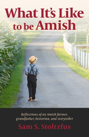 What It's Like to Be Amish