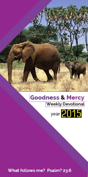 Goodness&Mercy Devotional 2