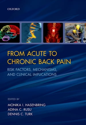 From Acute to Chronic Back Pain Risk Factors, Mechanisms, and Clinical...