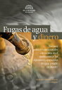 Fugas de agua y dinero Factores pol tico-institucionales que inciden en el desempe o de los organismos operadores de agua potable en M xico【電子書籍】 Alejandro Salazar