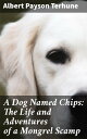 A Dog Named Chips: The Life and Adventures of a Mongrel Scamp In the Heartwarmin...