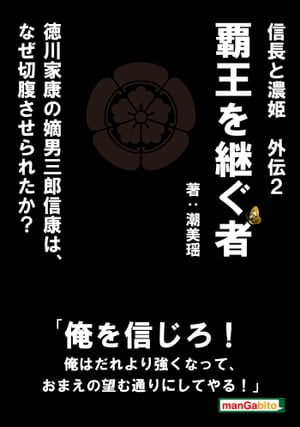 信長と濃姫外伝2 覇王を継ぐ者　徳川家康の嫡男三郎信康は、なぜ切腹させられたか？