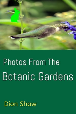 ŷKoboŻҽҥȥ㤨Photos From The Botanic GardensŻҽҡ[ Dion Shaw ]פβǤʤ131ߤˤʤޤ
