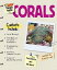 Super Simple Guide Corals