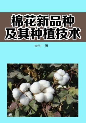 棉花新品种及其种植技术