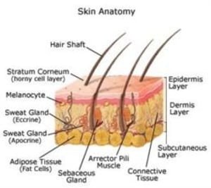 An Informative Guide About Basal Cell Carcinoma