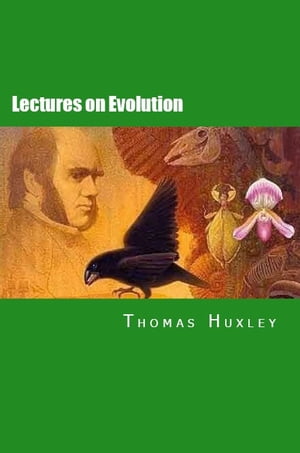 Lectures on Evolution