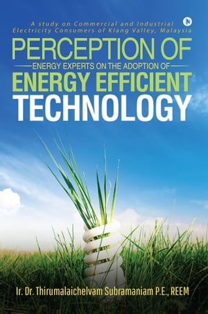 Perception of Energy Experts on the Adoption of Energy Efficient Technology