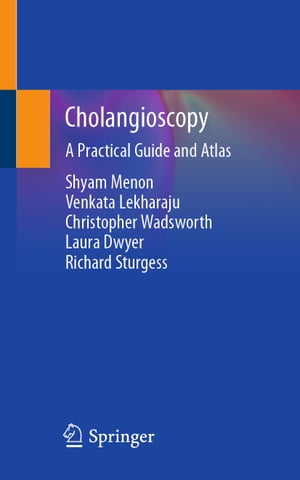 Cholangioscopy