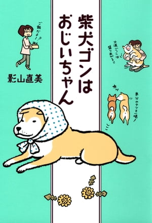 柴犬ゴンはおじいちゃん