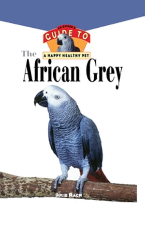 The African Grey