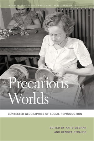 Precarious Worlds Contested Geographies of Social Reproduction