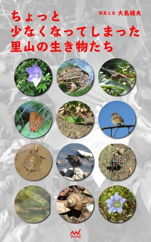 ちょっと少なくなってしまった里山の生き物たち【電子書籍】[ 大島 健夫 ]