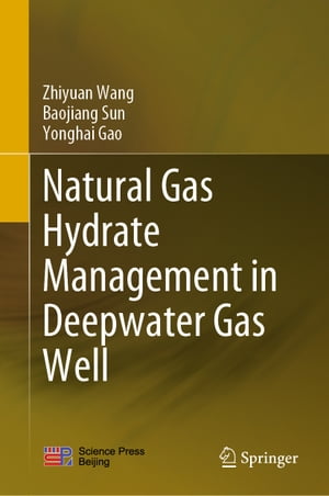 Natural Gas Hydrate Management in Deepwater Gas Well