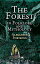 The Forest in Folklore and Mythology