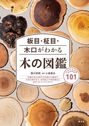 小泉章夫