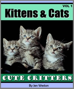 Kittens & Cats - Volume 1