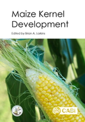 Maize Kernel Development