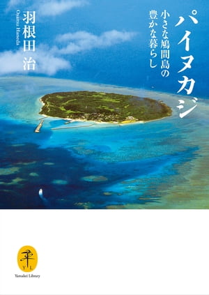 ヤマケイ文庫 パイヌカジ 小さな鳩間島の豊かな暮らし