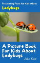 A Picture Book for Kids About Ladybugs Fascinating Animal Facts