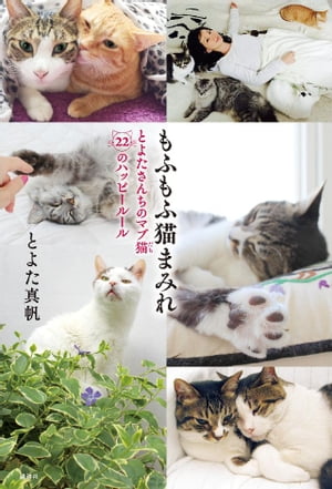 もふもふ猫まみれ　とよたさんちのマブ猫　２２のハッピールール