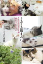 もふもふ猫まみれ　とよたさんちのマブ猫　22のハッピールール【電子書籍】[ とよた真帆 ]