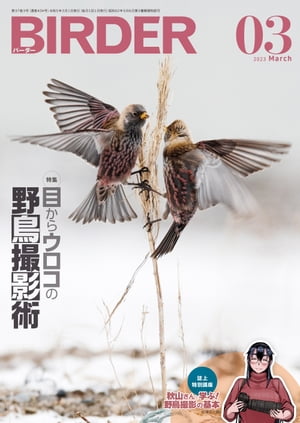 BIRDER2023年3月号