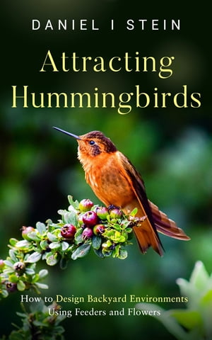 Attracting Hummingbirds