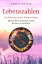 Lebenszahlen Einf?hrung in die Numerologie - Menschen erkennen und besser verstehenŻҽҡ[ Daniel Hasler ]