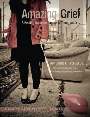 Amazing Grief A Healing Guide for Parents of Young Addicts.
