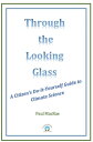 Through the Looking Glass: A Citizen's Do-It-You