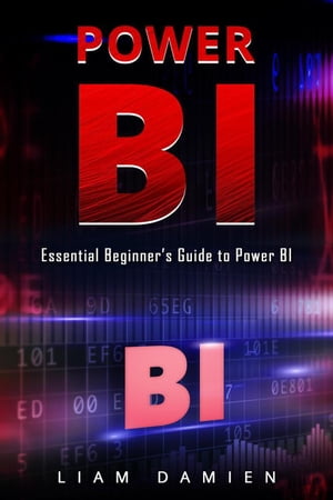 Power Bi: Essential Beginner’s Guide to Power BI