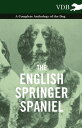 The English Springer Spaniel - A Complete Anthology of the Dog【電子書籍】 Various