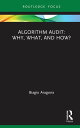 Algorithm Audit: Why, What, and How?