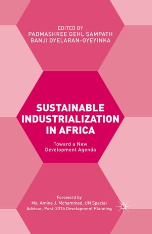 Sustainable Industrialization in Africa