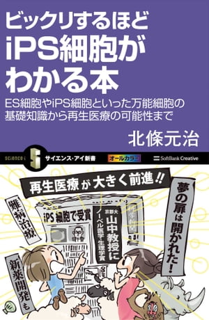 ビックリするほどiPS細胞がわかる本 ES細胞やiPS細胞といった万能細胞の基礎知識から再生医療の可能性まで【電子書籍】[ 北條 元治 ]