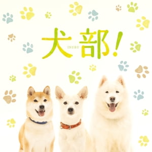 映画「犬部！」劇場パンフレット