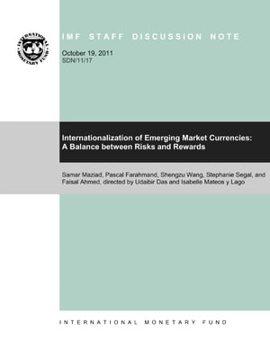 Internationalization of Emerging Market Currencies--A Balance Between Risks and Rewards