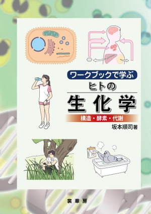 ワークブックで学ぶ ヒトの生化学構造・酵素・代謝【電子書籍】[ 坂本 順司 ]