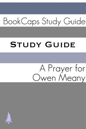 Study Guide: A Prayer for Owen Meany (A BookCaps Study Guide)
