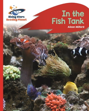 Reading Planet - In the Fish Tank - Red B: Rocket Phonics