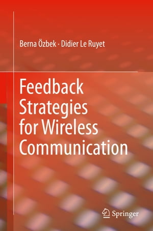 Feedback Strategies for Wireless Communication