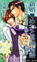 新婚(ハート)めおと茶碗物語〜「花嫁は翡翠に奪われる」番外編